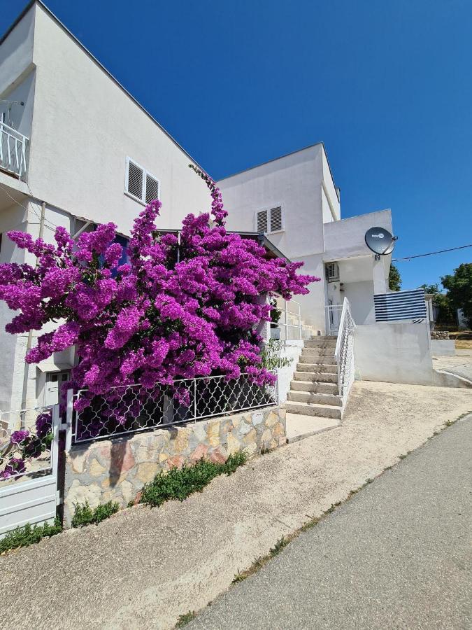 Maslenica-Bougainvillea Exteriör bild