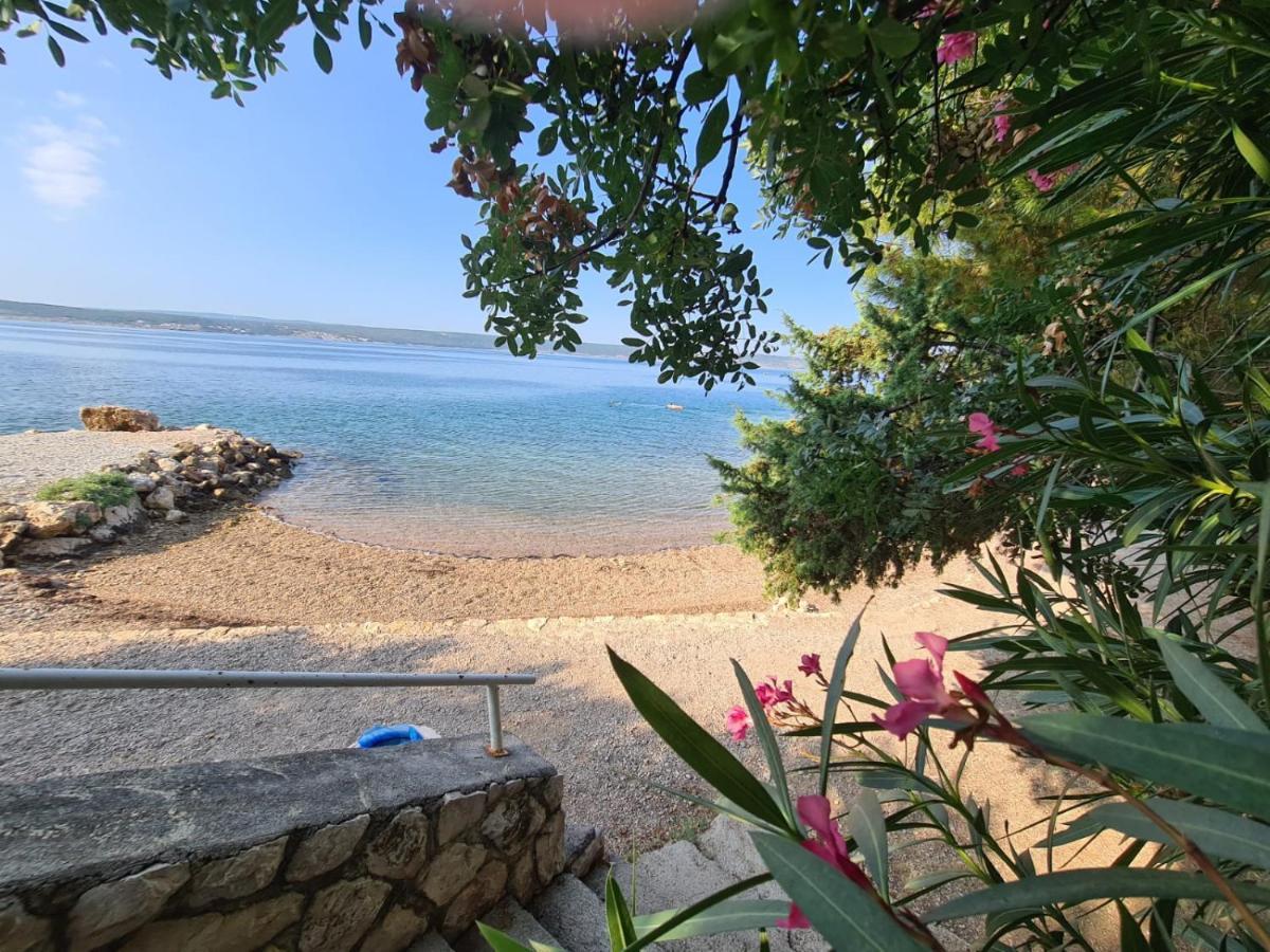 Maslenica-Bougainvillea Exteriör bild